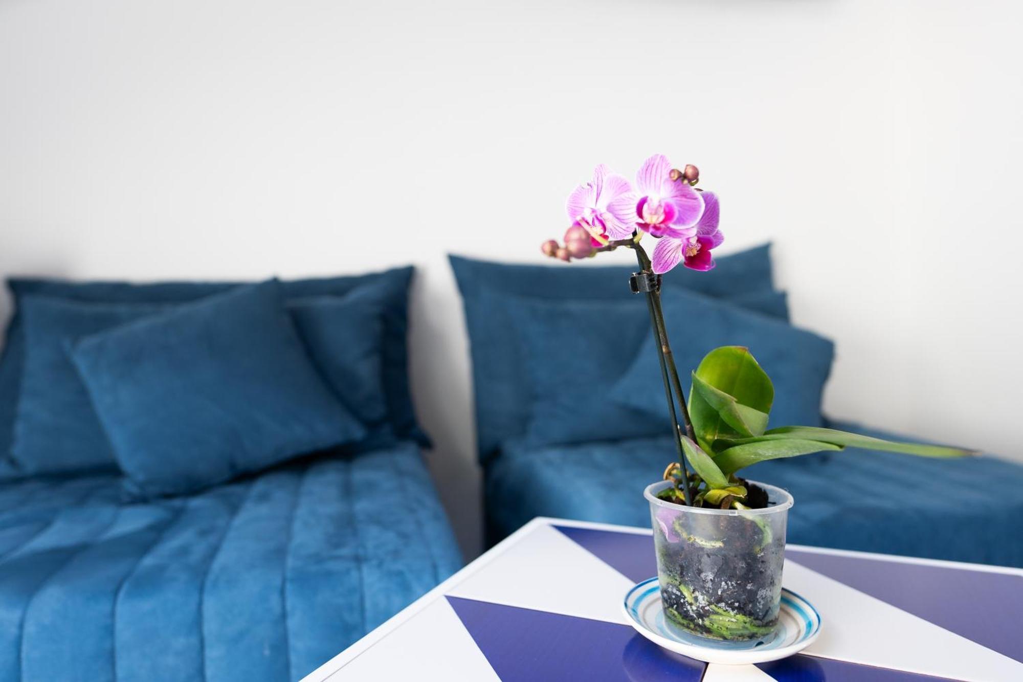 Villa Annalara Amalfi Dış mekan fotoğraf